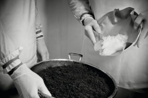 Il caviale di Calvisius.